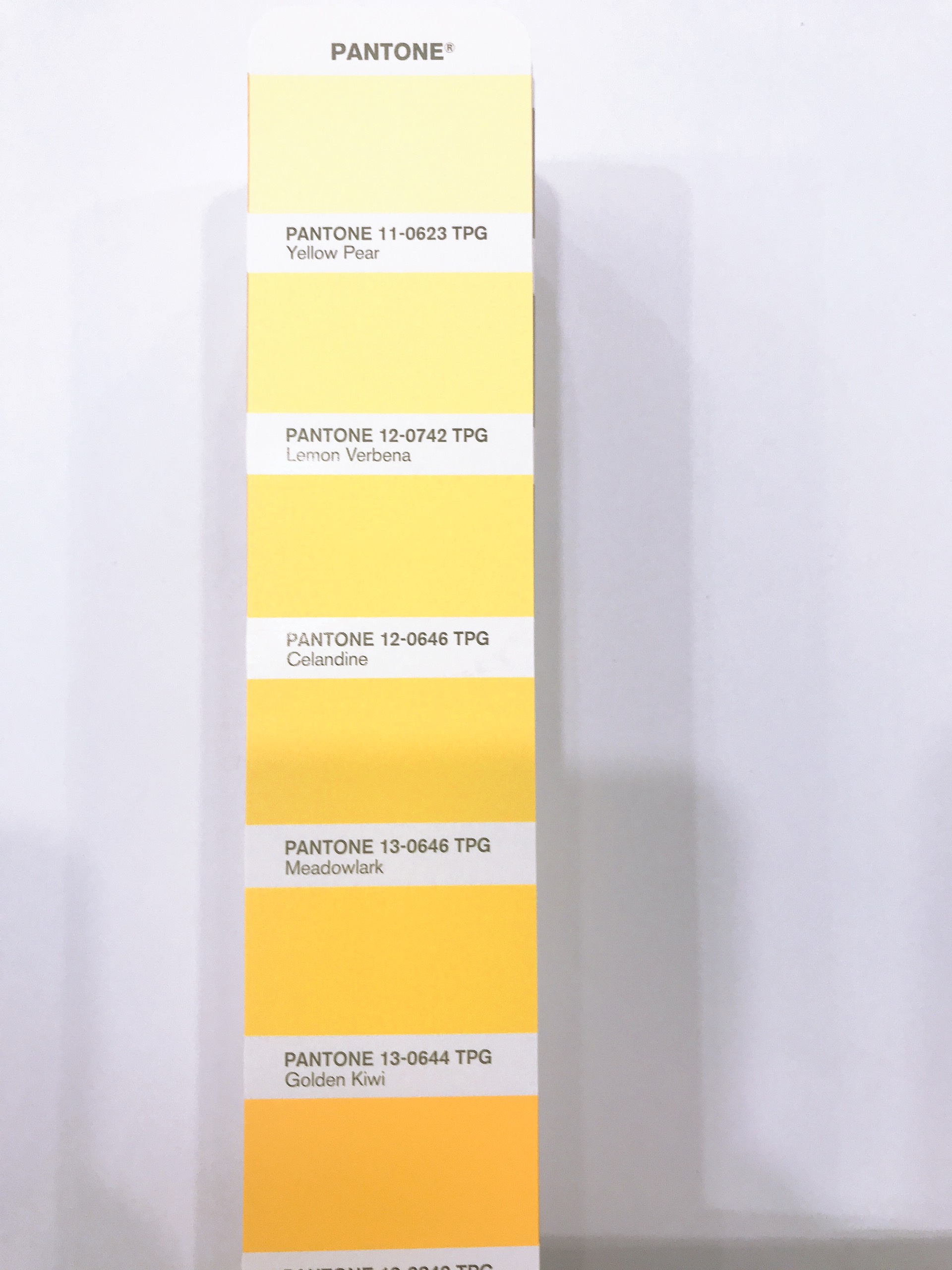 DĨNH TRẦN COLOR - CHUYÊN CUNG CẤP PANTONE UY TÍN SỐ 1 VIỆT NAM 17 NĂM