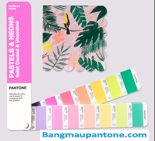 DĨNH TRẦN COLOR - CHUYÊN CUNG CẤP PANTONE UY TÍN SỐ 1 VIỆT NAM 17 NĂM