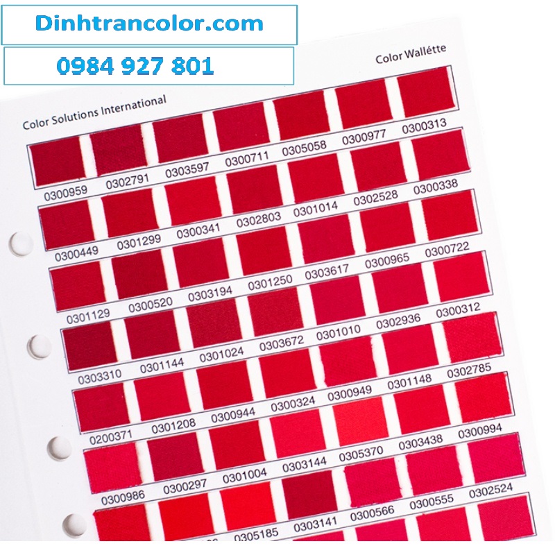 DĨNH TRẦN COLOR - CHUYÊN CUNG CẤP PANTONE UY TÍN SỐ 1 VIỆT NAM 17 NĂM