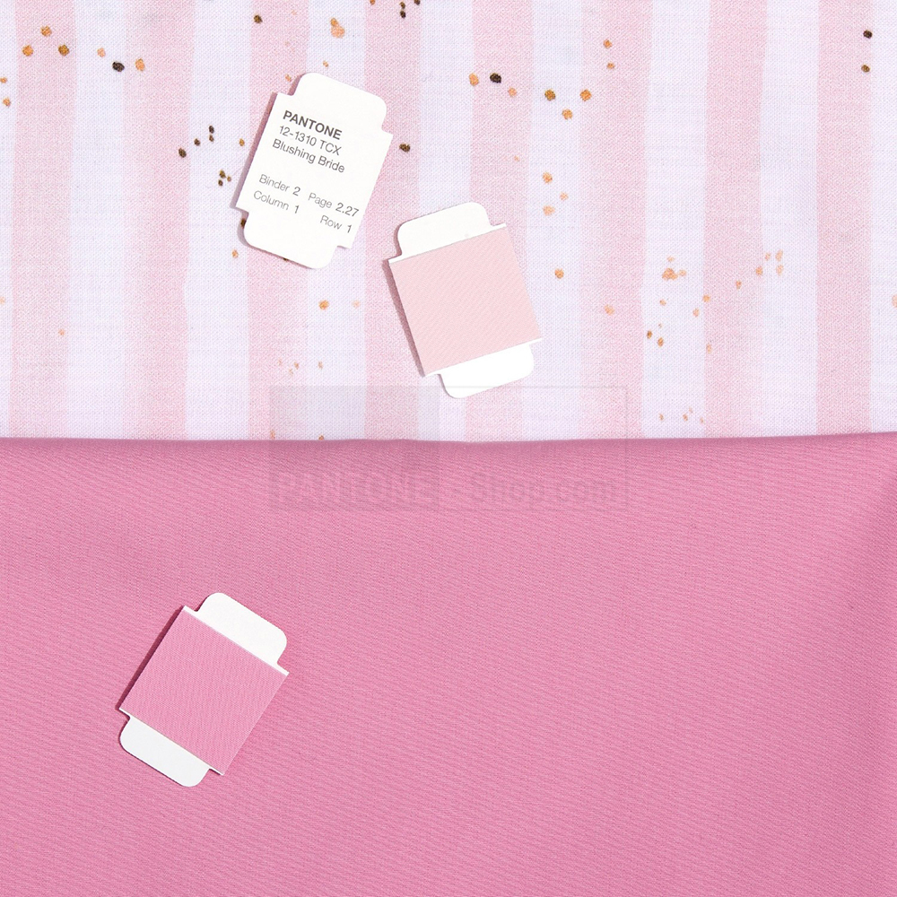 DĨNH TRẦN COLOR - CHUYÊN CUNG CẤP PANTONE UY TÍN SỐ 1 VIỆT NAM 17 NĂM