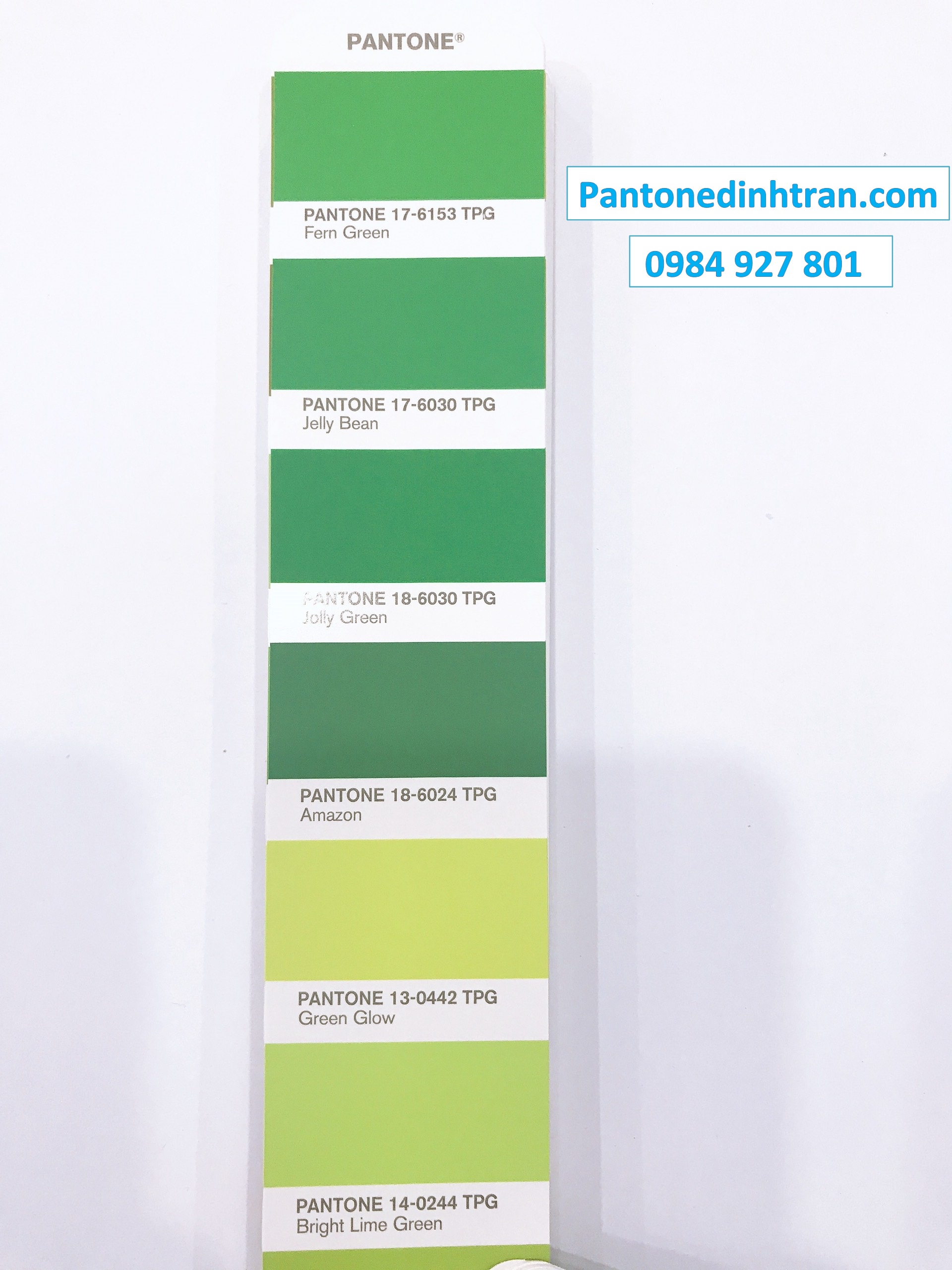 DĨNH TRẦN COLOR - CHUYÊN CUNG CẤP PANTONE UY TÍN SỐ 1 VIỆT NAM 17 NĂM