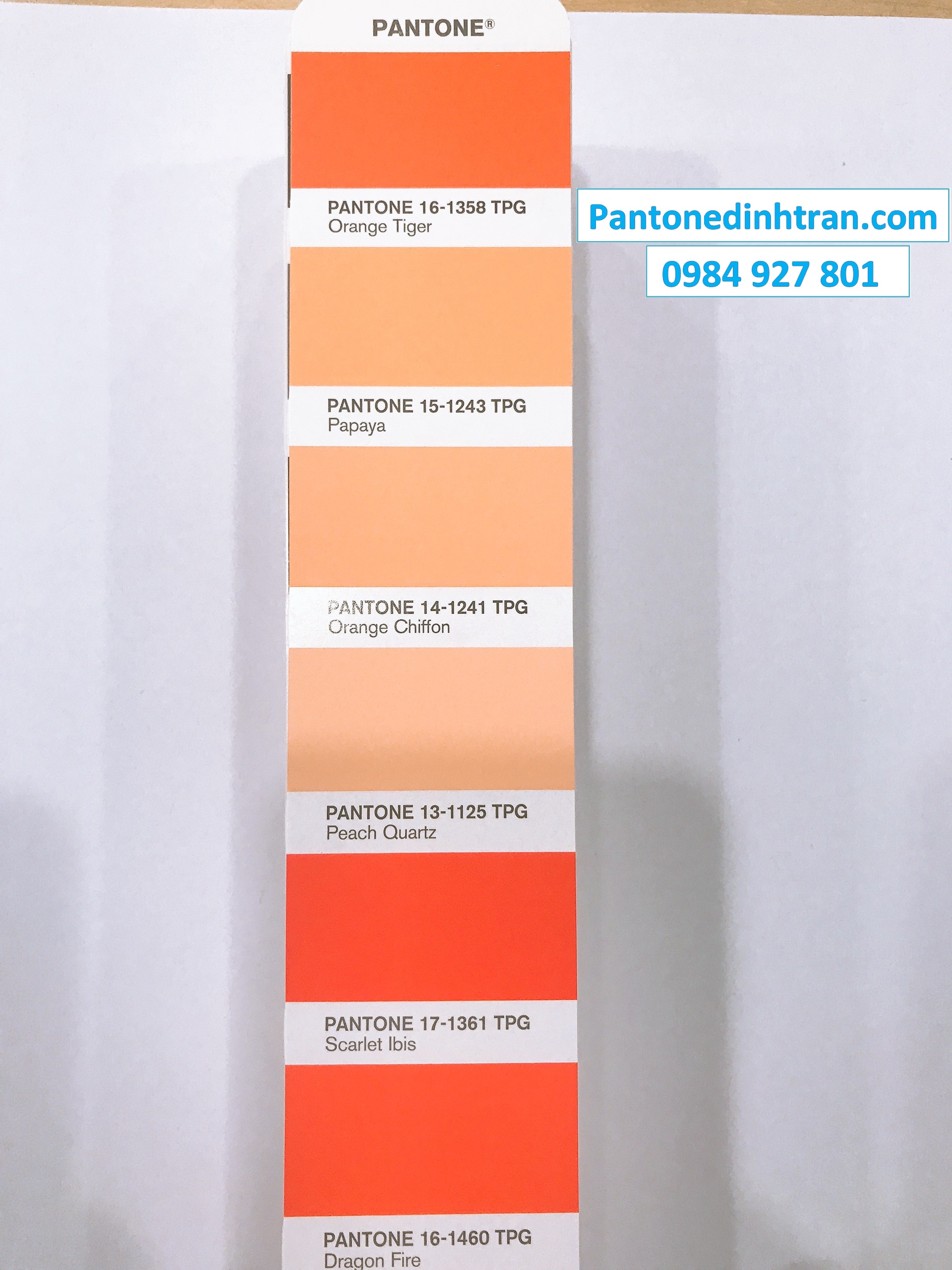 DĨNH TRẦN COLOR - CHUYÊN CUNG CẤP PANTONE UY TÍN SỐ 1 VIỆT NAM 17 NĂM