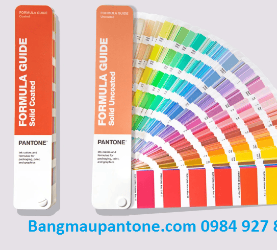 DĨNH TRẦN COLOR - CHUYÊN CUNG CẤP PANTONE UY TÍN SỐ 1 VIỆT NAM 17 NĂM