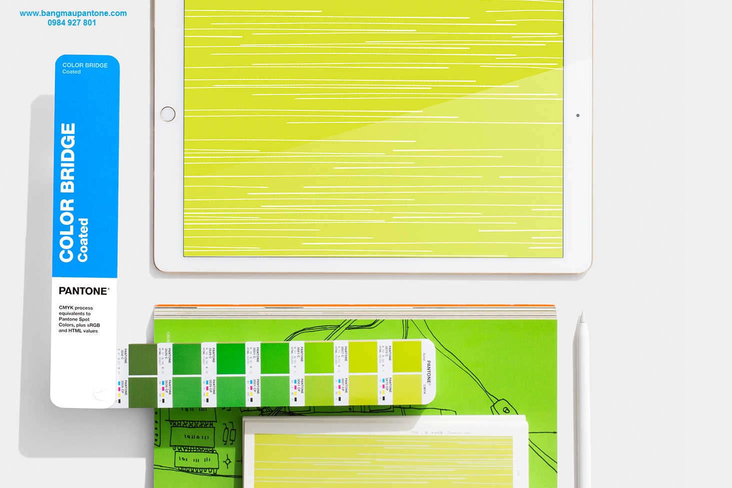 DĨNH TRẦN COLOR - CHUYÊN CUNG CẤP PANTONE UY TÍN SỐ 1 VIỆT NAM 17 NĂM