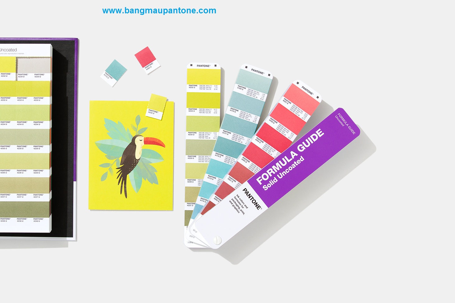 DĨNH TRẦN COLOR - CHUYÊN CUNG CẤP PANTONE UY TÍN SỐ 1 VIỆT NAM 17 NĂM