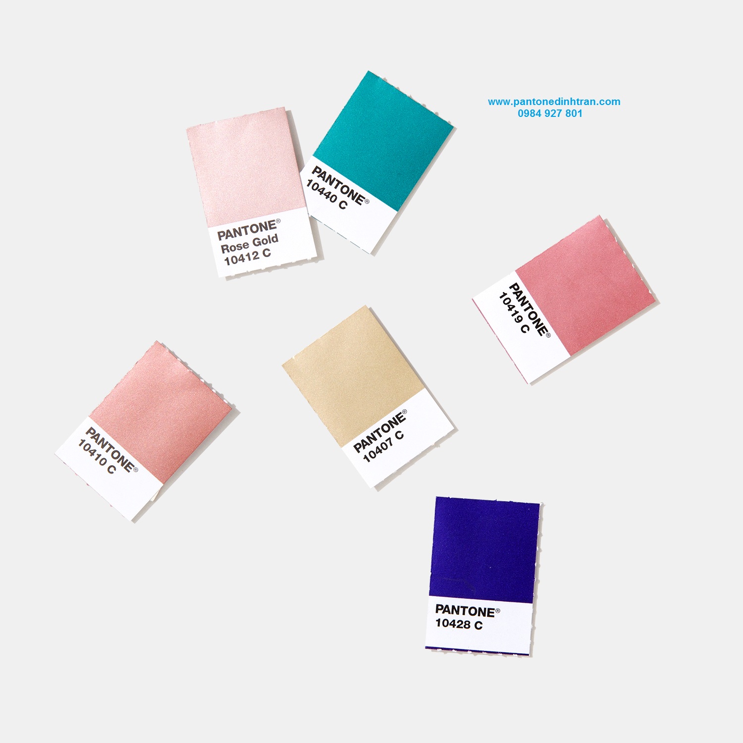 DĨNH TRẦN COLOR - CHUYÊN CUNG CẤP PANTONE UY TÍN SỐ 1 VIỆT NAM 17 NĂM